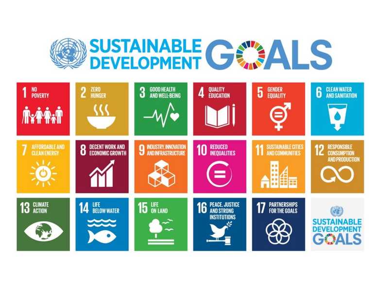 SDG infographic SDG infographic