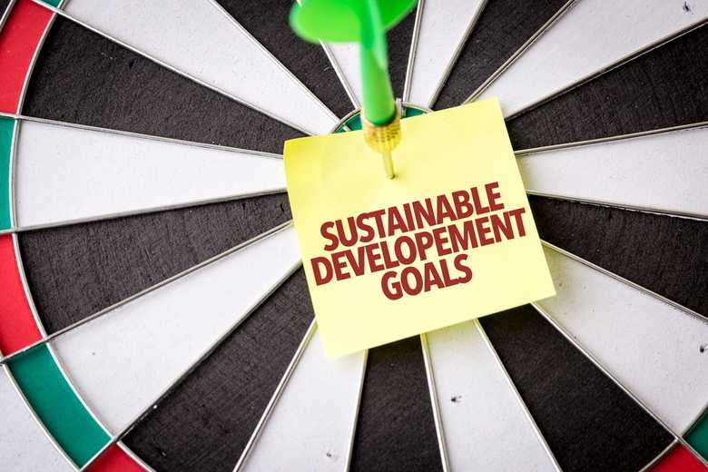 Sustainable Development Goals! Sustainable Development Goals!