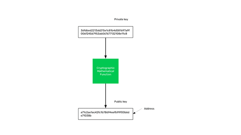 Public key = address. Public key = address.