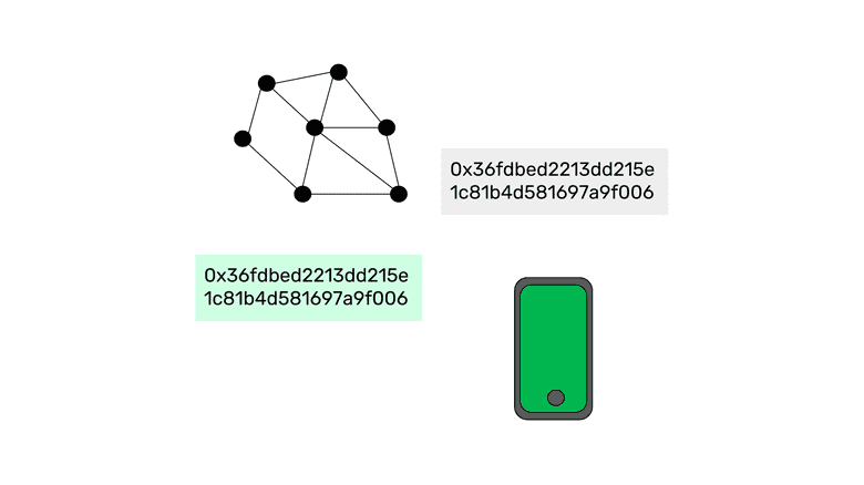 Blockchains, accounts, addresses, and wallets. Blockchains, accounts, addresses, and wallets.